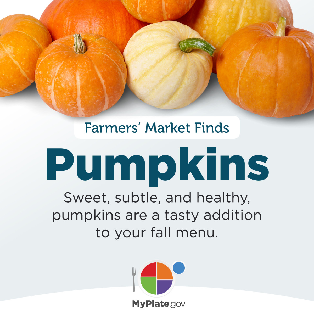 Farmers Market Finds- Pumpkins