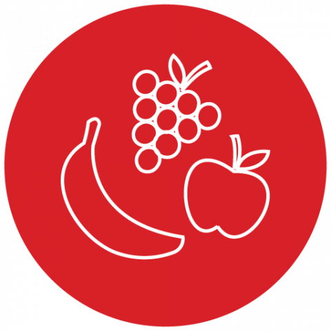 icon of line drawings of several fruits