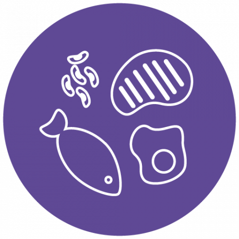 icon of line drawings of several protein foods